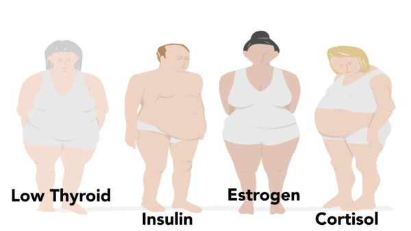 hormone imbalances and how people store fat
