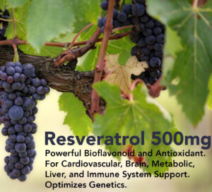 resveratrol 500mg bioflavonoid with grapes and grape leaves in background