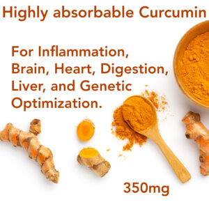 highly absorbable curcumin
