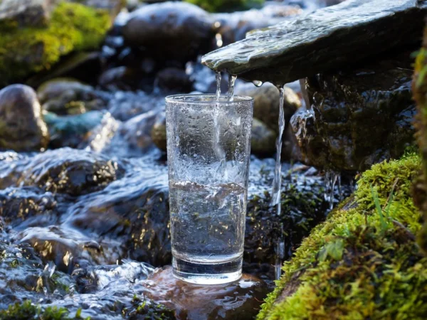 clean water into a glass hydrate the wilde way